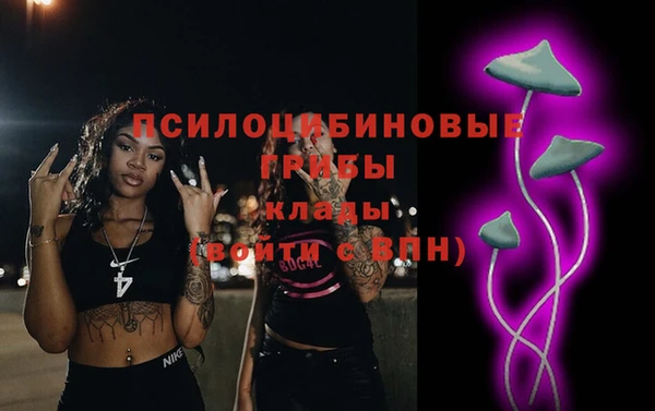 ПСИЛОЦИБИНОВЫЕ ГРИБЫ Армянск