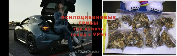 экстази Арсеньев