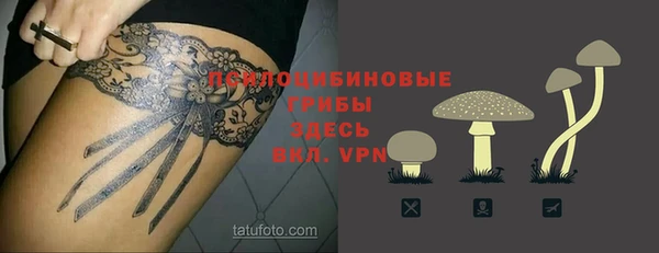 соль ск Аркадак