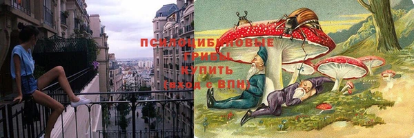 соль ск Аркадак