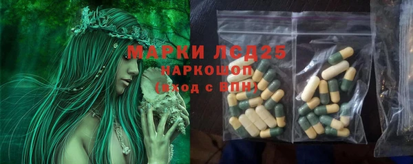 экстази Арсеньев